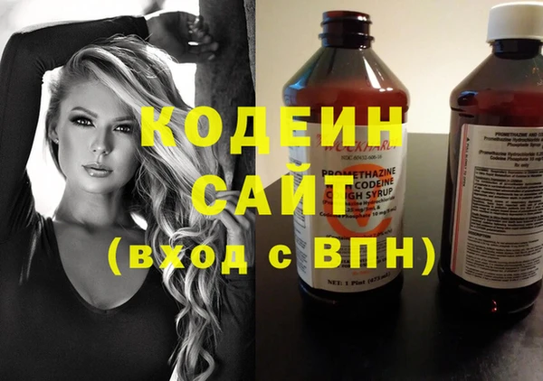 сатива Арсеньев