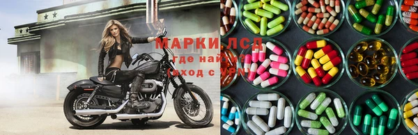сатива Арсеньев