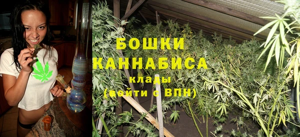 сатива Арсеньев