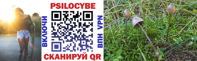 Псилоцибиновые грибы Psilocybe  Купить  Сортавала 